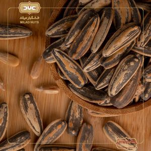 تخمه آفتابگردان کانادایی